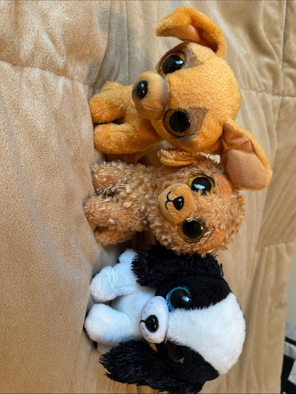 TY Plush Dogs set - Brown and White Soft Puppy Set